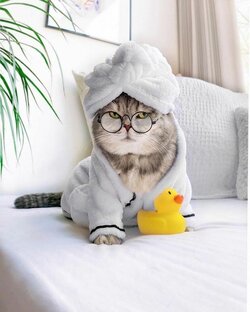 Декоративные средства 