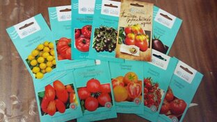 Мой овощной Сад