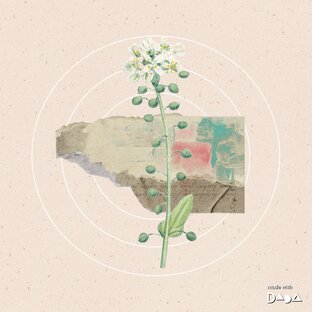 Разные кусочки