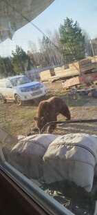 Пробная подборка