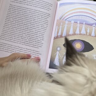 Читаем с котей