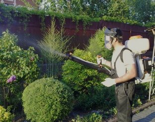 Работы в саду