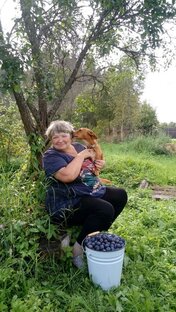 Мои рассказы