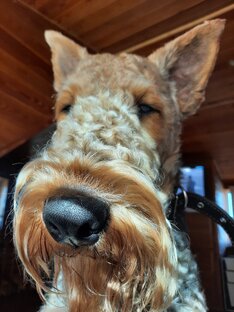 Мои истории