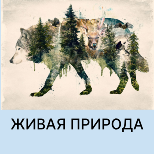 О прекрасном и беззащитном мире