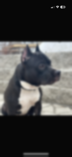 Полезности