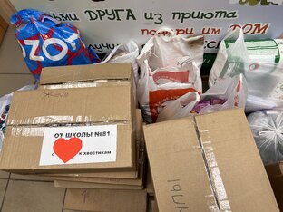 Нам помогают💕
