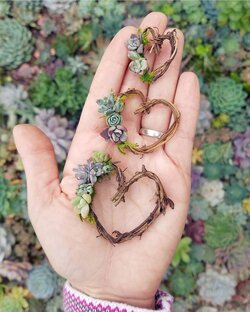 Цветочный винегрет