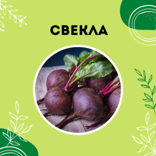Про свёклу 