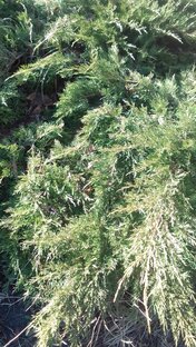 Интересные истории из жизни, сказочные происшествия