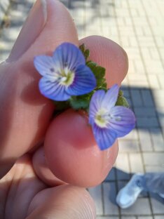 Природа вокруг, красота то какая)