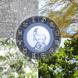 Гороскопы для Козерога