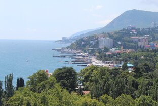 Видео с пасеки 