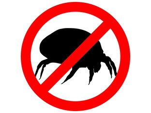 Методы борьбы с вредителями