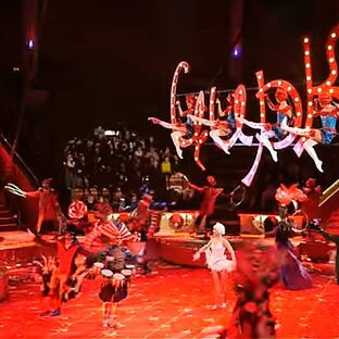 Территория творчества и мыслей