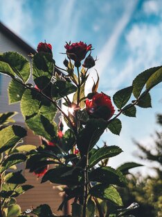 Полезные статьи