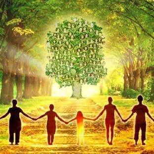 Семинары и марафоны школы Genesis