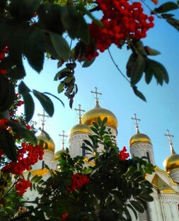 Моя Москва!