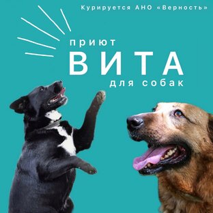 Как можно помочь❤