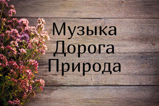 Короткие видеоролики