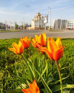 Город А.... 