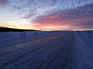 Природа через объектив телефона