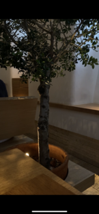 Рестораны 🧑🏽‍🍳