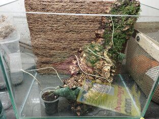 Флорариумное