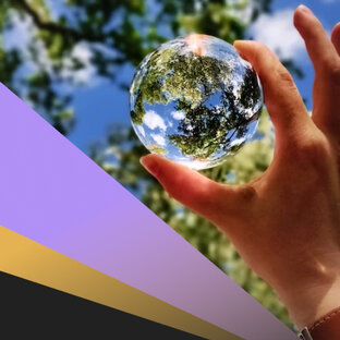 Устойчивое развитие