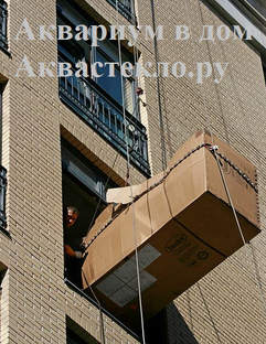 Аквариум, Мебель в окно