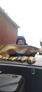 Мототолкач Ураган Тайга. Рыбалка!