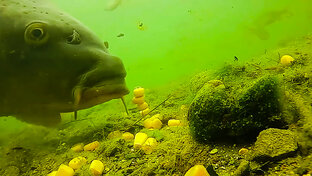 РЫБАЛКА ПО ЖИДКОЙ ВОДЕ 