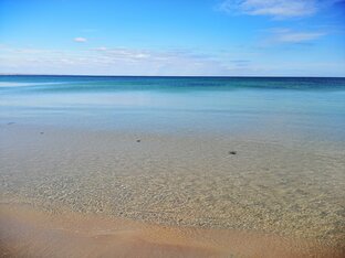 Всякое разное