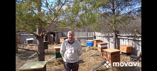 Пчеловодство