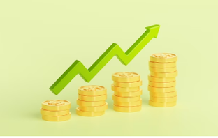 Итоги монетизации.