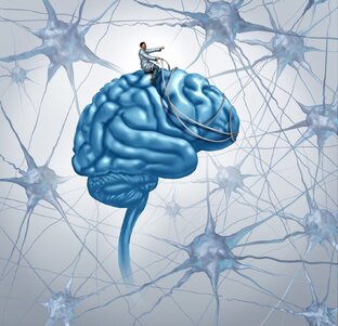 Neurobiology