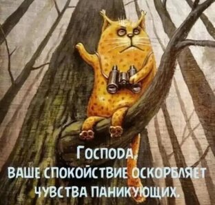 Кругляши от души