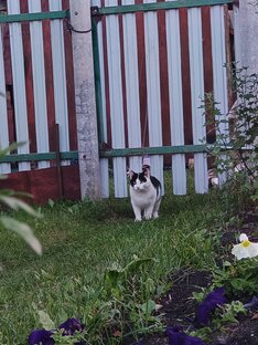 Праздники🥳