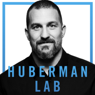  Huberman Lab