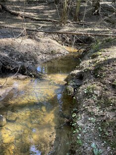 Красота воды