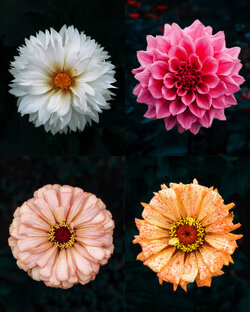 Наталья и Антон