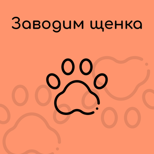 Заводим щенка