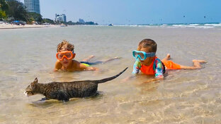 Бассейны, пляжи, аквапарки.