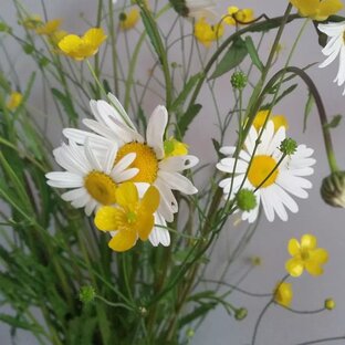 Поэтические выходные