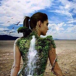 Основы экологии 