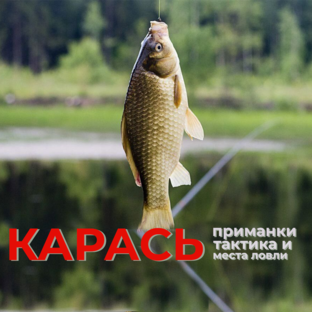 Ловля карася.