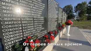 Видеоклипы