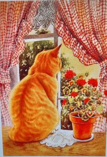 Короткие рассказы