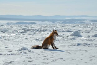 Зима  на Байкале