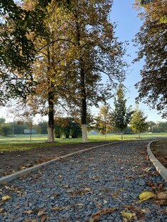 Мысли вслух 